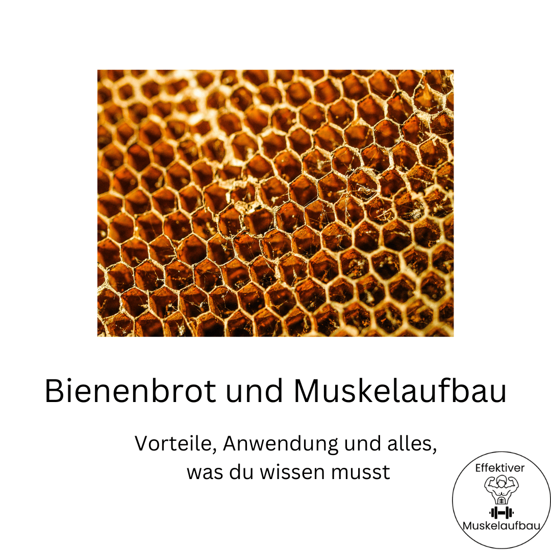 Entdecke, wie Bienenbrot deinen Muskelaufbau unterstützt. Lerne mehr über Wirkung, Nährstoffe, Anwendung und Vorteile des fermentierten Superfoods. Jetzt erfahren!